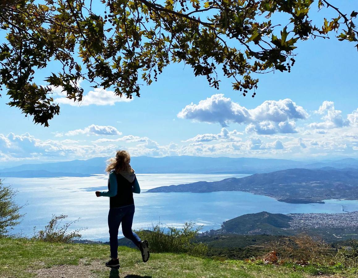 Archontika Karamarlis Otel Makrinítsa Dış mekan fotoğraf
