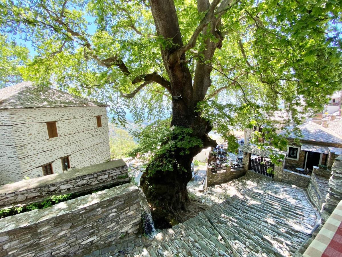 Archontika Karamarlis Otel Makrinítsa Dış mekan fotoğraf