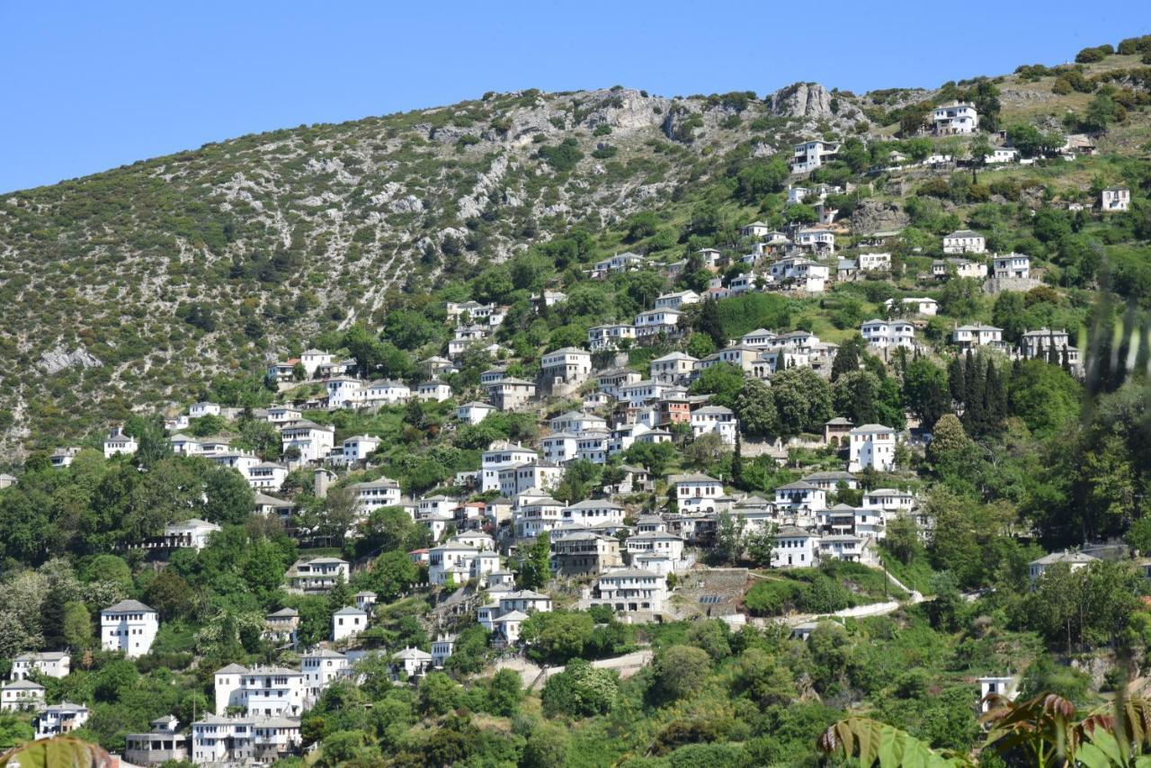 Archontika Karamarlis Otel Makrinítsa Dış mekan fotoğraf